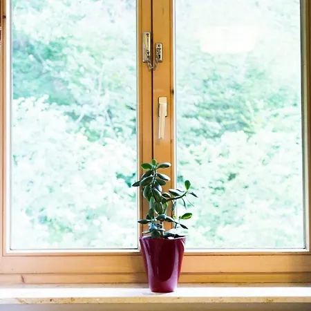 Wildgrün Panorama 15